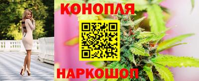 соль ск Моздок