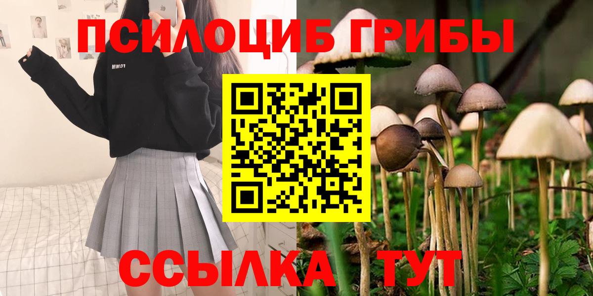 Ульяновск  Галлюциногенные грибы MAGIC MUSHROOMS  Вход с VPN  Галлюциногенные грибы GOLDEN TEACHER 
